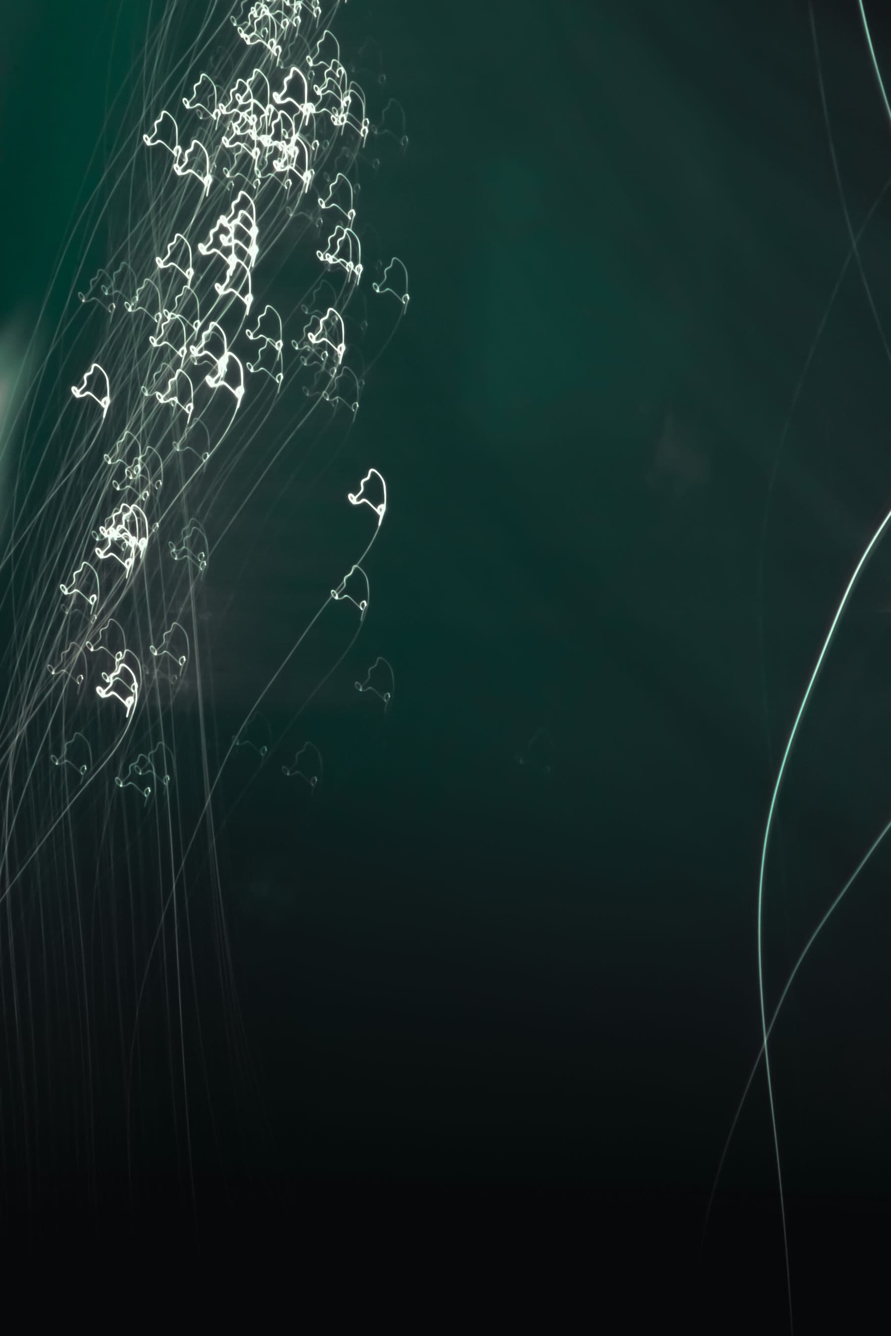 Long-exposure green and white light trails moving through darkness